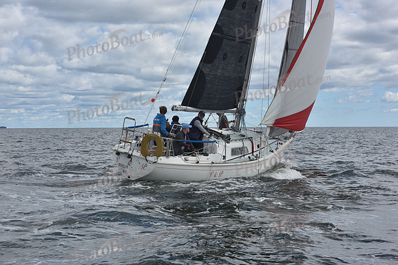 2021 Vineyard Race A 0241