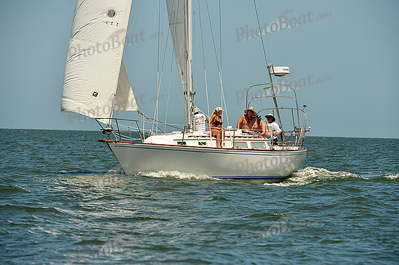 2015 Southern Bay Race Week C 1487