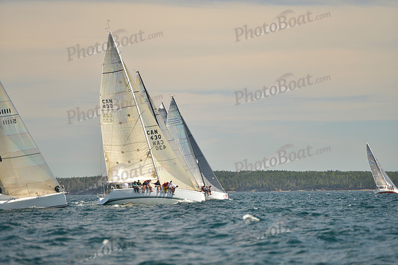 2016 Chester Race Week B_0035