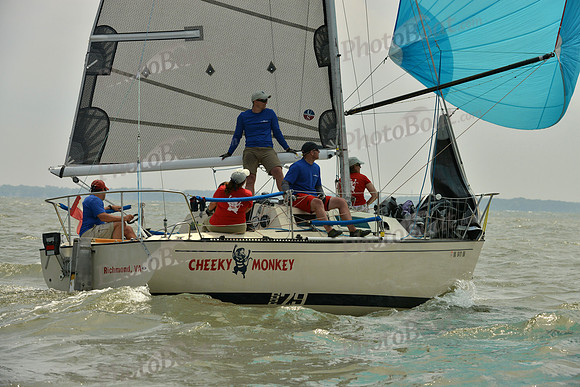 2016 Southern Bay Race Week B_0163