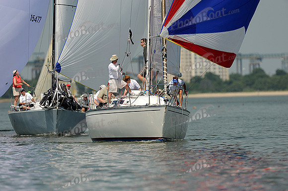 2013 Southern Bay Race Week B 499