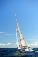 2014 Vineyard Race A 705