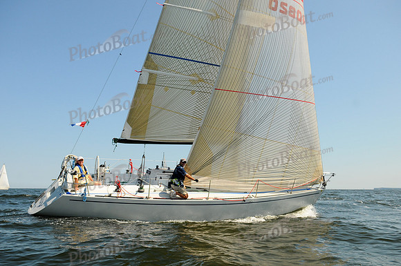 2011 Vineyard Race A 1805