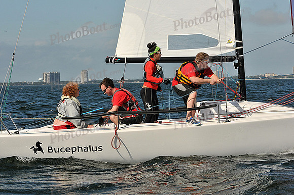 2014 J70 Winter Series A 974