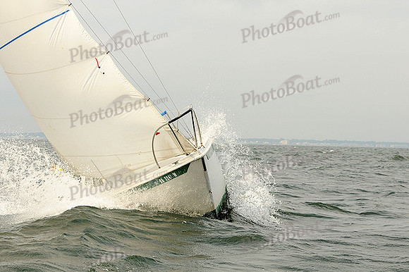 2012 Cape Charles Cup A 312