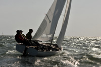 2012 Thistle Midwinters B 330