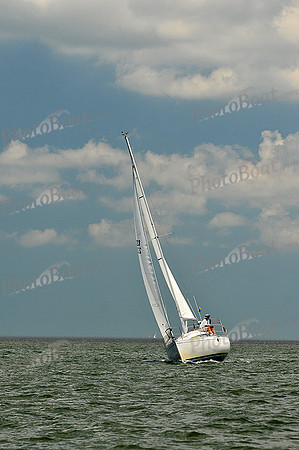 2013 Southern Bay Race Week C 2497