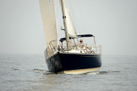 2013 Vineyard Race B 241