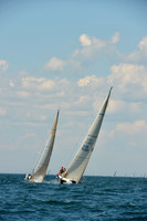 Cymothoe