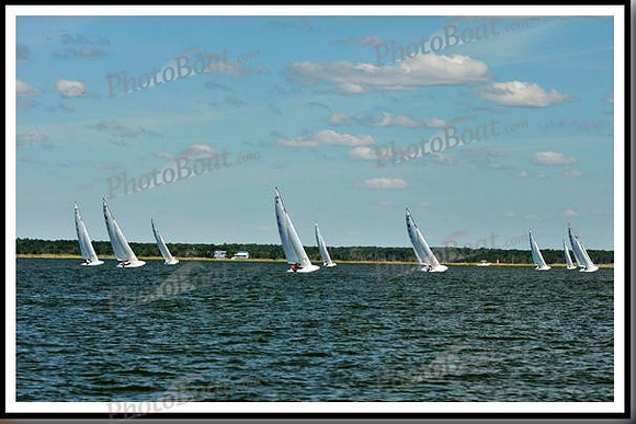 proof_2010_EScows_D 019