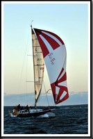 proof_2010_Vineyard_Race_2349