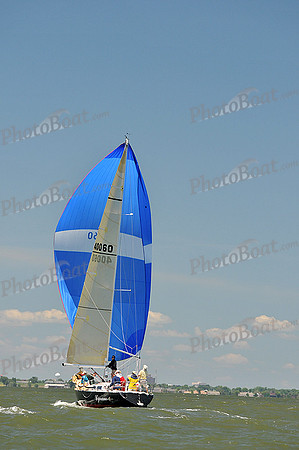 2014 Southern Bay Race Week D 834
