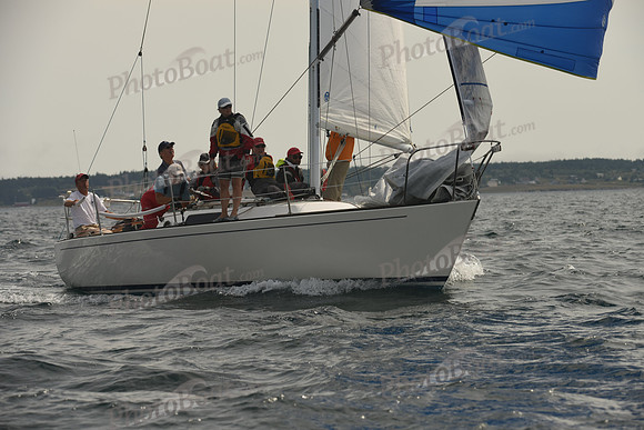 2016 Chester Race Week C_1729
