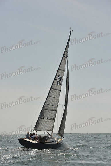 2018 Vineyard Cup A_0565