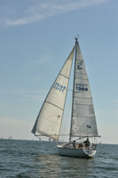 2018 Southern Bay Race Week C_0951