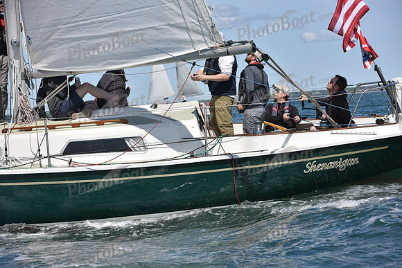 2019 Figawi_0398