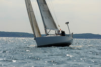 2011 Vineyard Race A 1444