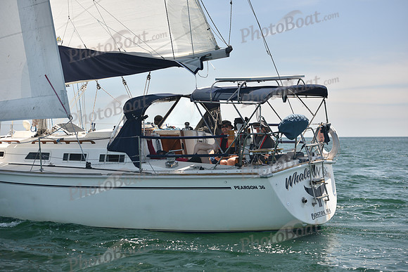 2024 Figawi 1219