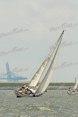 2012 Southern Bay Race Week A 1886