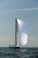 2013 Vineyard Race A 1486
