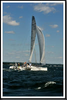 proof_2010_Vineyard_Race_0727