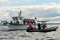 2010 IRC LIS 520