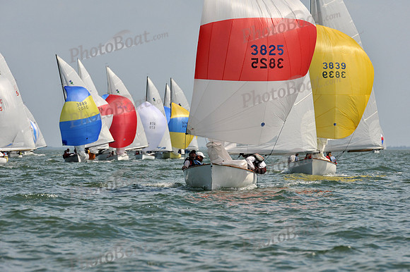 2012 Thistle Midwinters B 1385