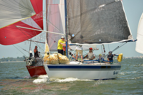2015 Southern Bay Race Week A 1514