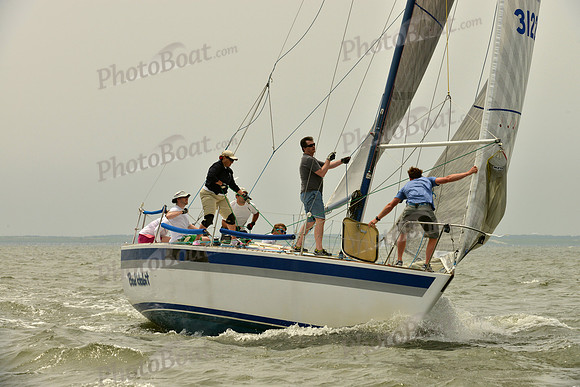 2016 Southern Bay Race Week A_0785