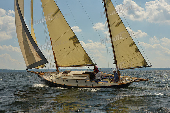 2015 IHYC Classic Yacht Regatta 509