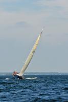 2010_AYC_Fall_1988