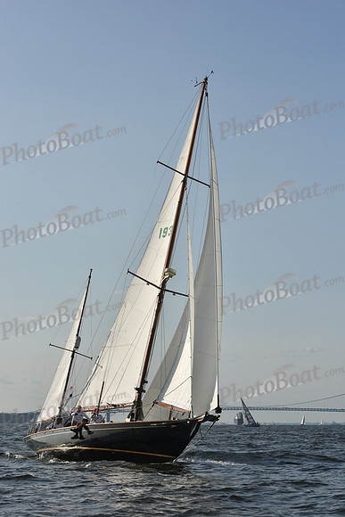 2019 ALIR_1539