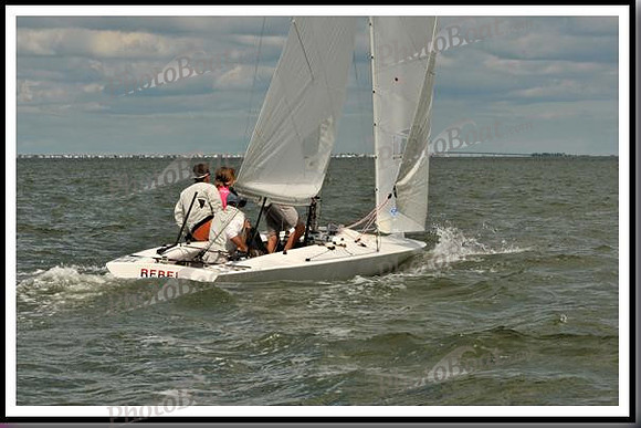 proof_2010_EScows_B 144