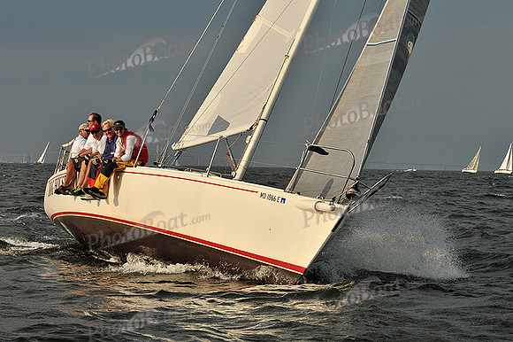 2013 Gov Cup A 2264