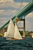 Tilly XV