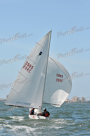 2012 Thistle Midwinters B 1262