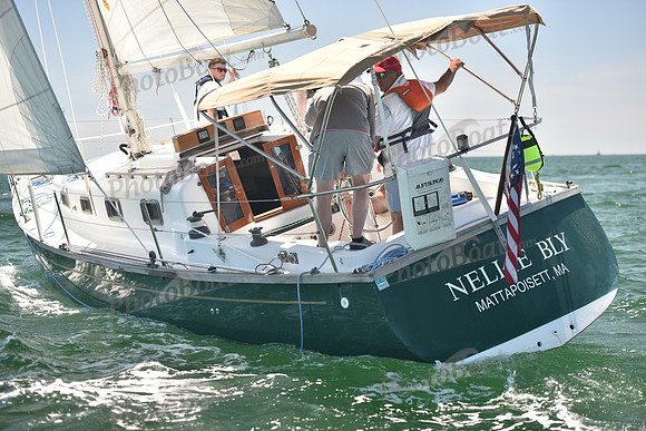 2024 Figawi 0281