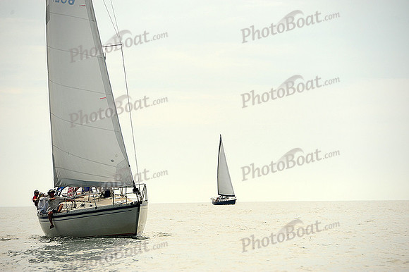 2014 Cape Charles Cup B 446