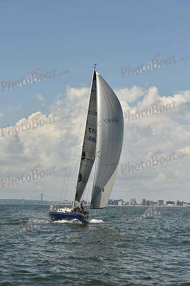 2018 ALIR_2073
