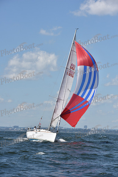 2020 Vineyard Race A_0939