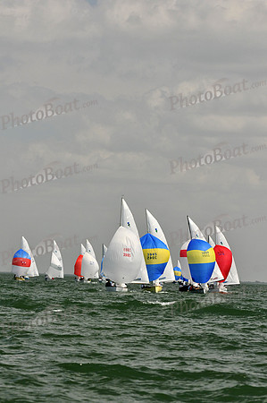2012 Thistle Midwinters B 1388