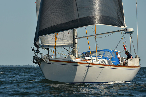 2015 Vineyard Race C 343