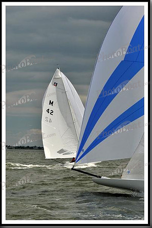 proof_2010_EScows_B 981