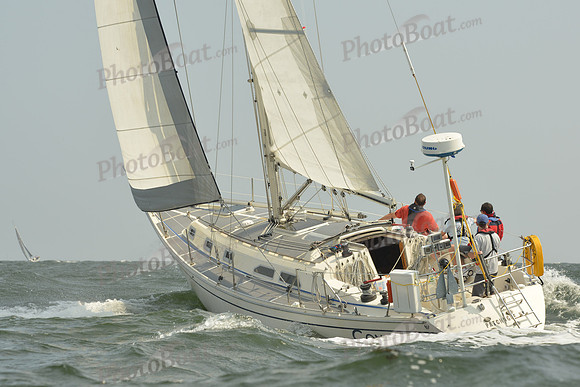 2015 Vineyard Race A 608