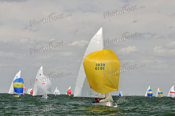 2012 Thistle Midwinters B 1435