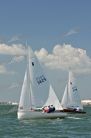 2012 Thistle Midwinters C 574