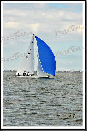 proof_2010_EScows_B 709
