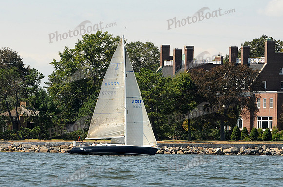 2011 Vineyard Race A 919