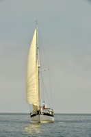 2016 Southern Bay Race Week E_0462