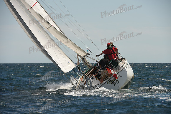 2016 Chester Race Week A_0959